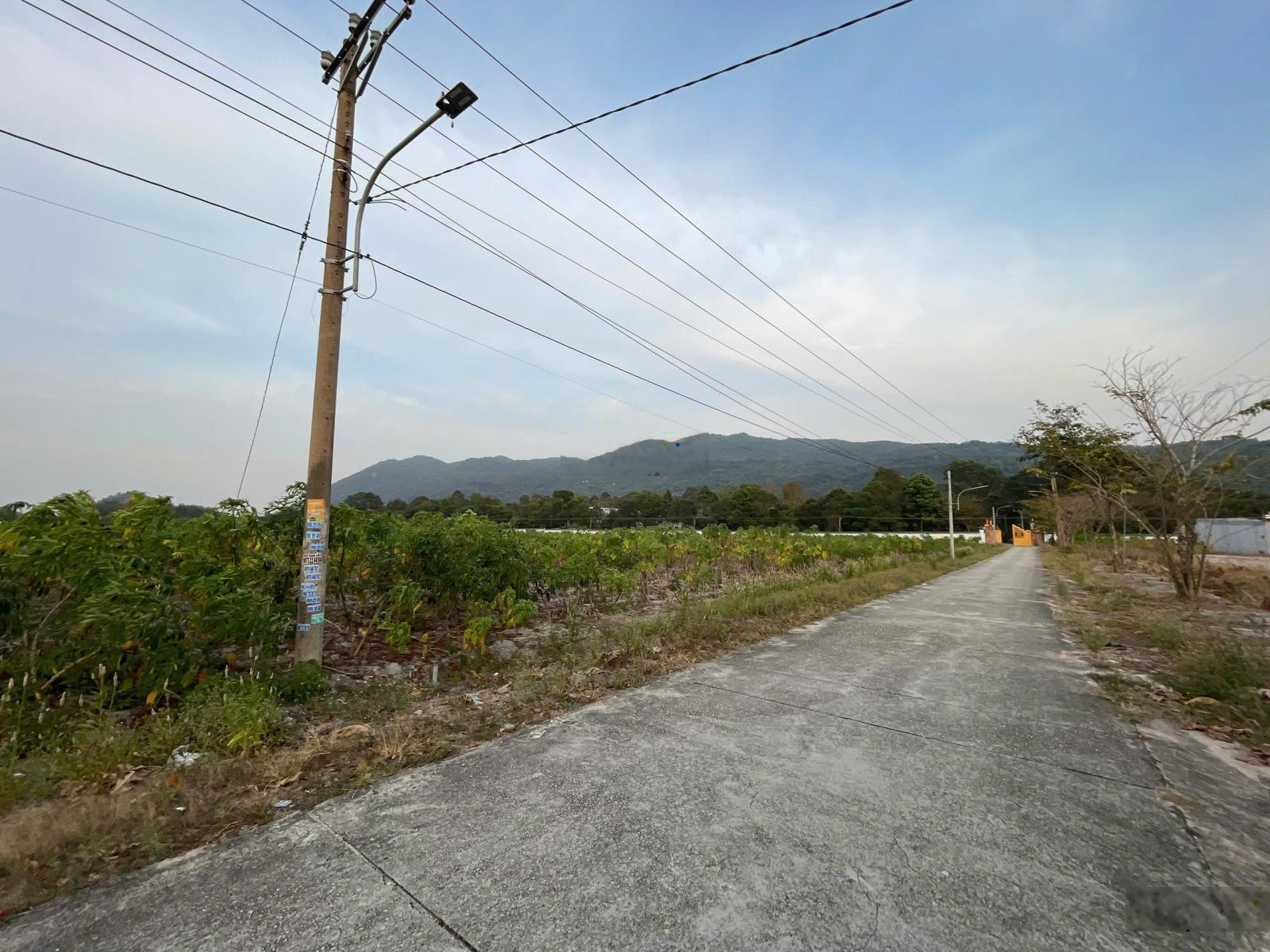 Đất Phú Mỹ 150m² - Có thổ cư - Giá 1,65 tỷ - Phù hợp đầu tư, liên hệ ngay 0902057768