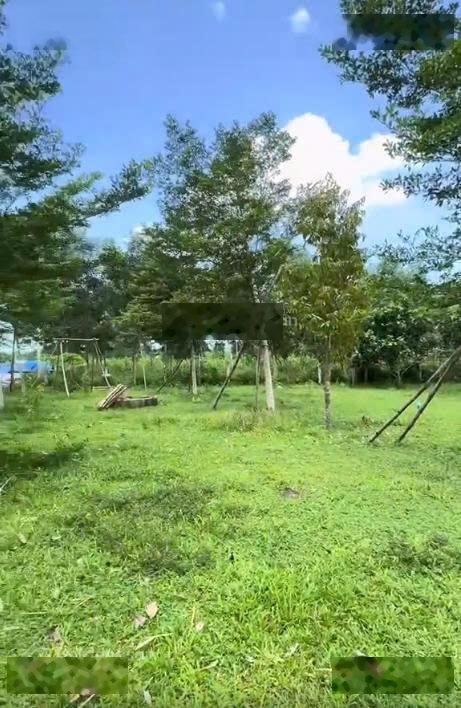 Cực hiếm! Chính chủ bán đất vườn Hòa Phú view suối 2.234m² nở hậu, vườn sẵn, làm farm