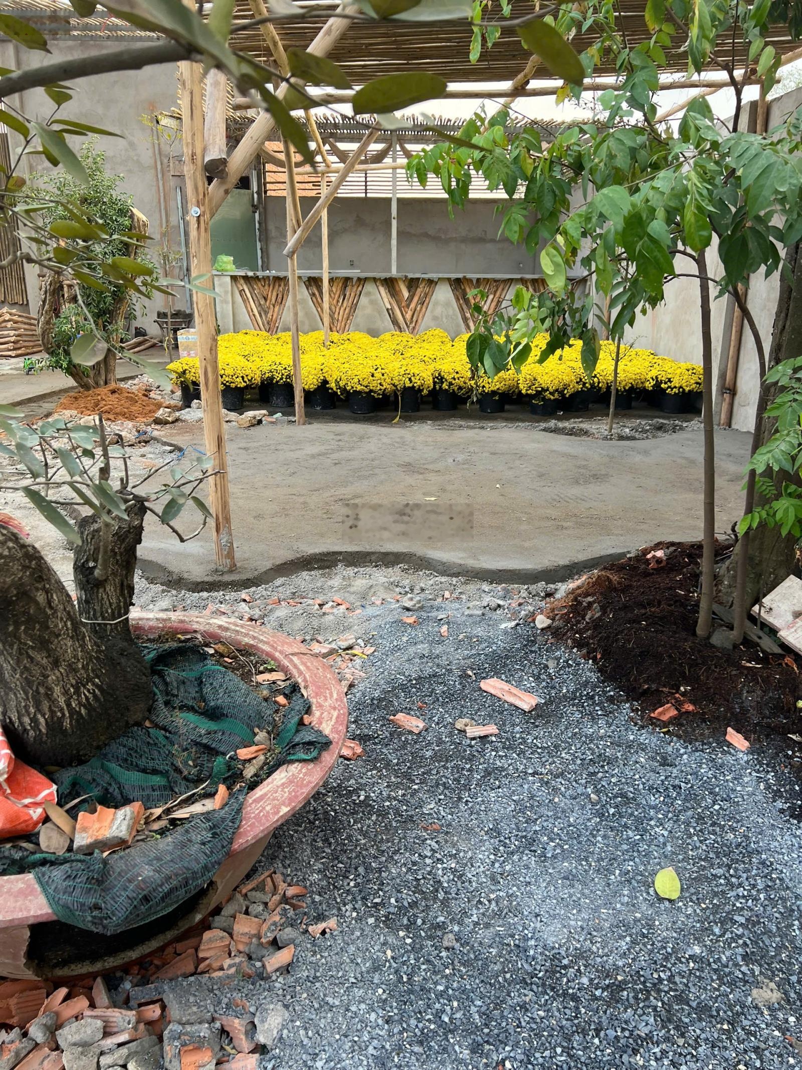 Bán đất Hiệp Hòa Cù Lao Phố Đồng Nai mặt tiền đường chính 20 mét, sổ riêng công chứng ngay