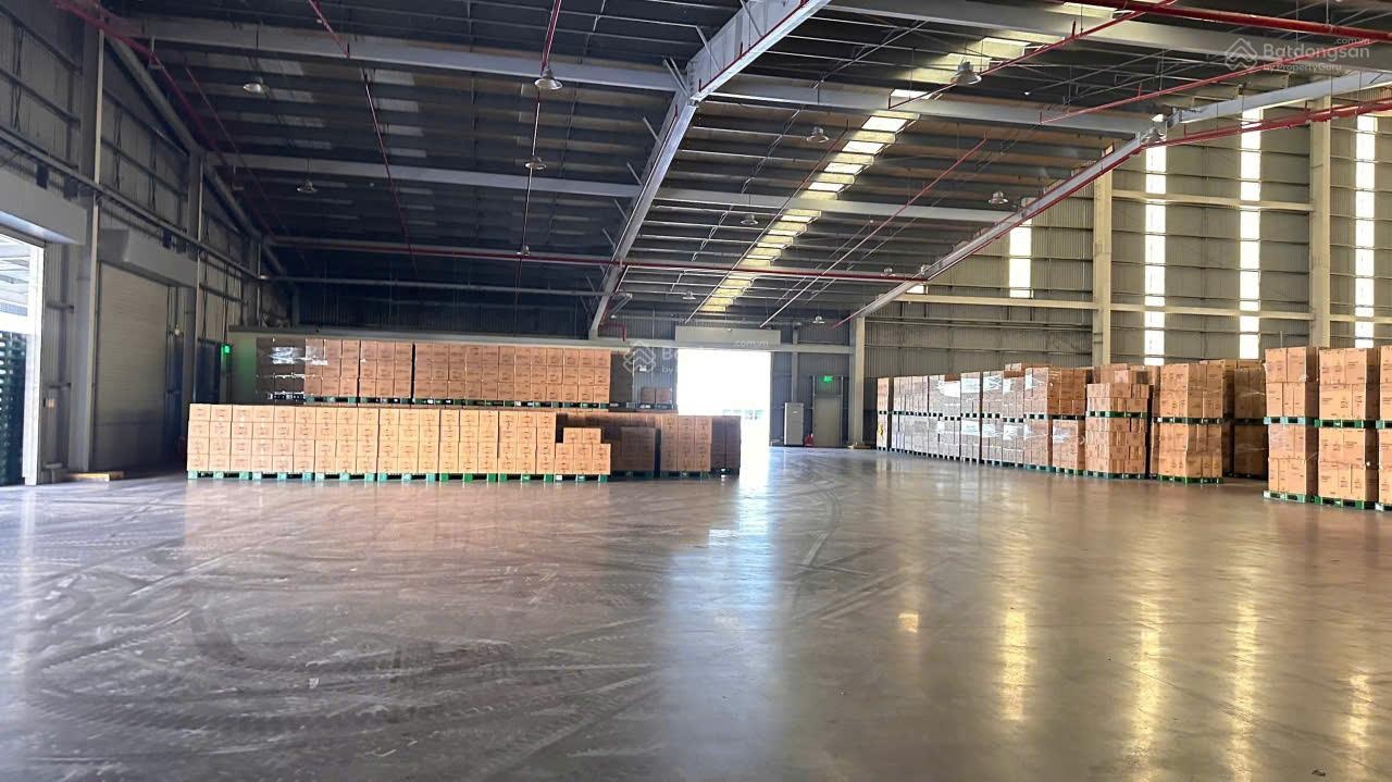 Cho thuê kho xưởng , KV: 10.000m2 , trong KCN Đức Hòa Long An Trạm 750KVA, PCCC tự động