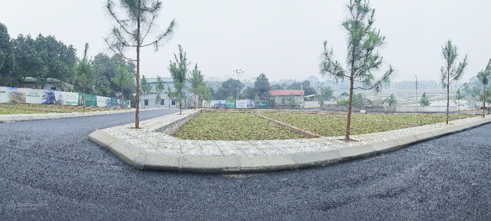 Bán gấp đất thổ cư 100m2 tại Quốc lộ 21A, Cổ Đông, Sơn Tây, giá tốt 3 tỷ VND