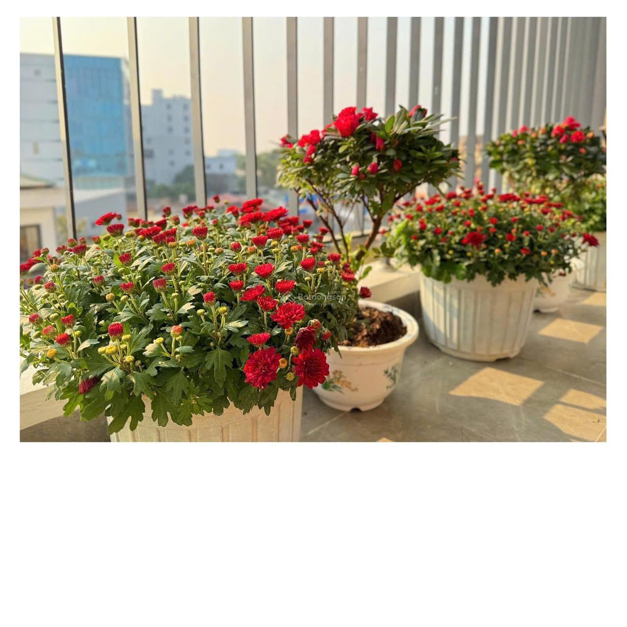 Đầu tư căn hộ cho thuê mang dòng tiền đều từ 8- 15 triệu/tháng