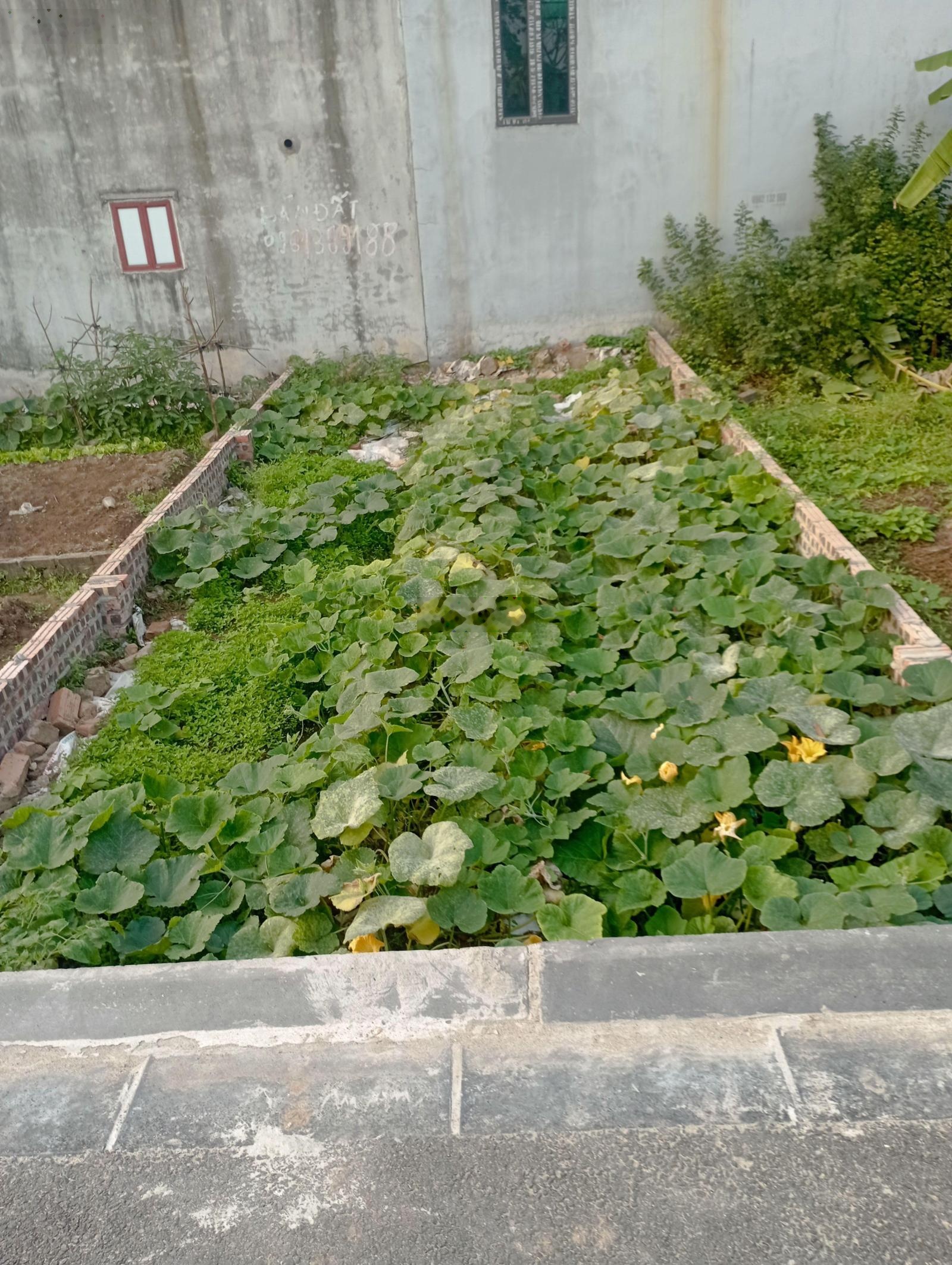 Siêu hiếm!!! Rẻ nhất khu vực chỉ 2,8 tỷ có ngay mảnh đất đẹp Lê Xá, Mai Lâm, Đông Anh