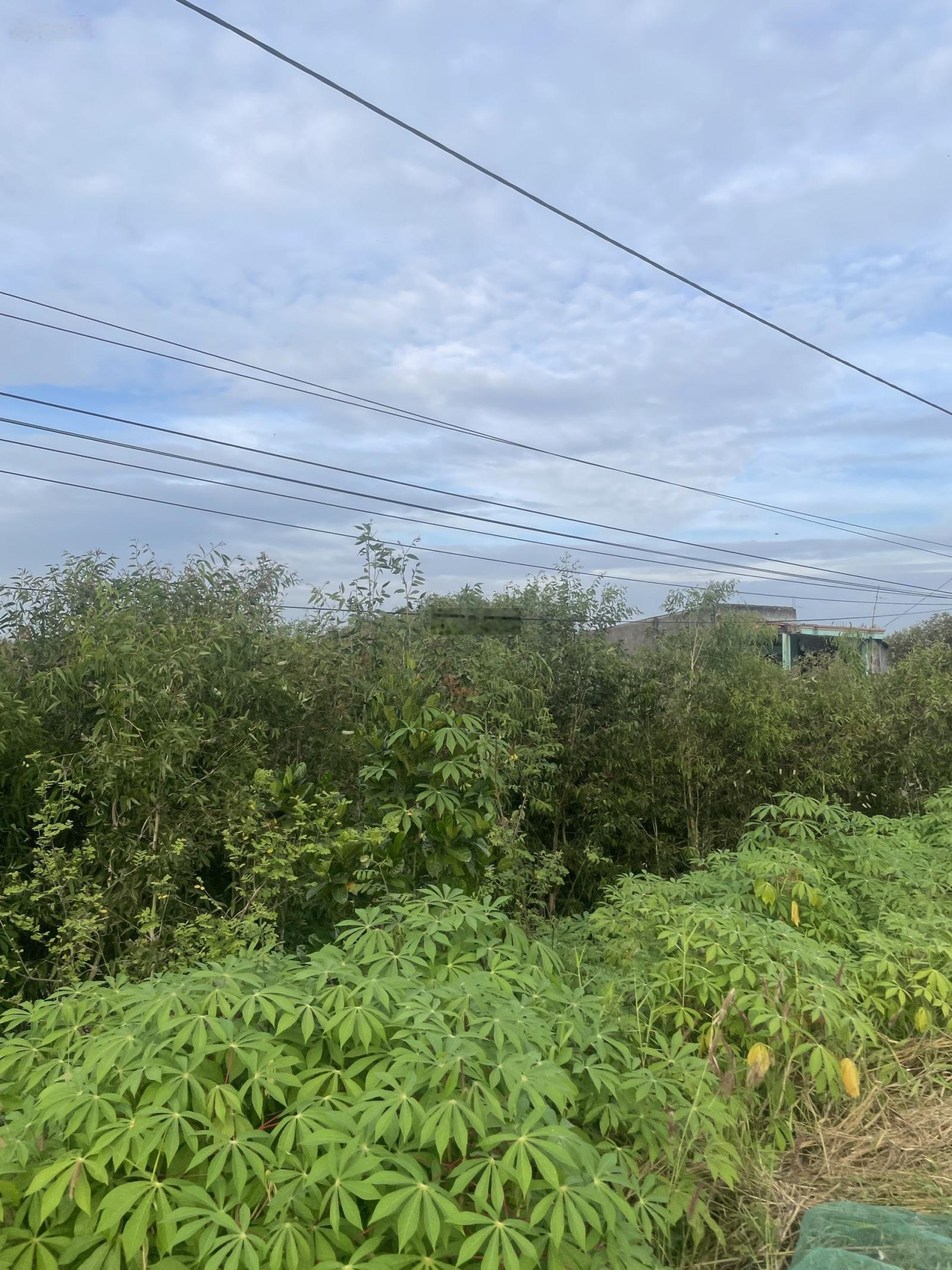 Cần bán 8.6 công đất mặt tiền đường Tỉnh lộ 865 Cái Bè Tiền Giang , có 6 công thổ cư