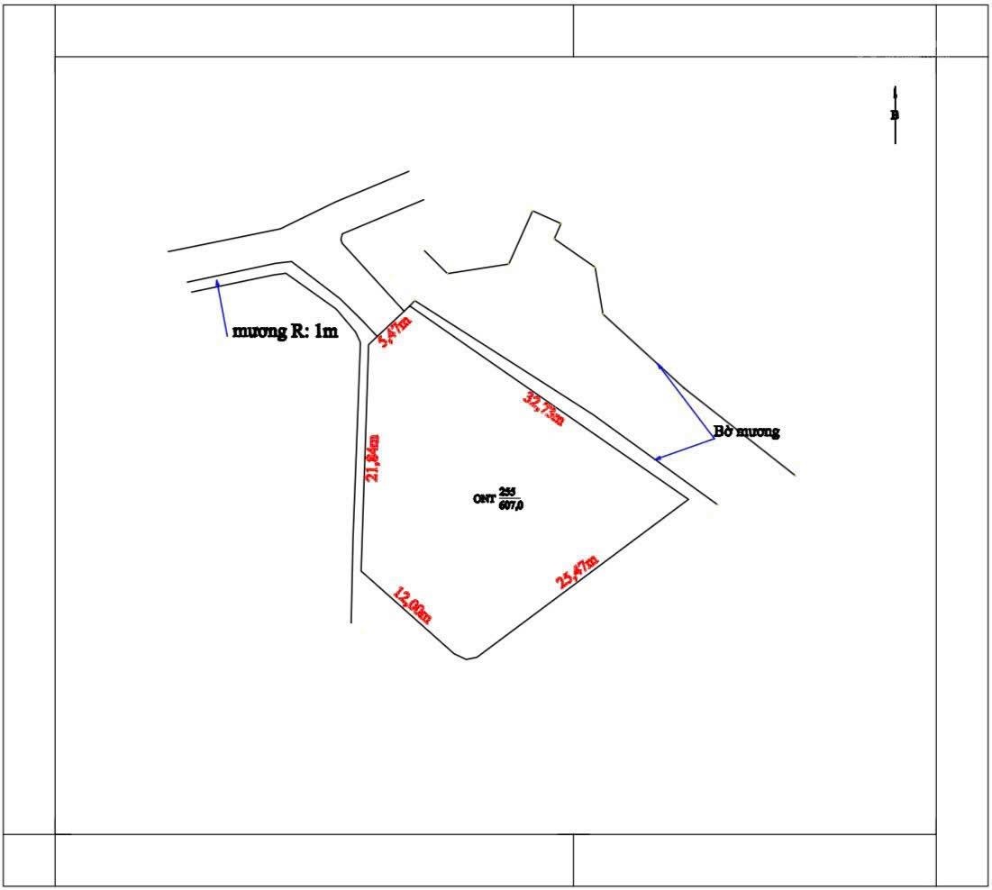 Nhà vườn Tân Phong thực tế 602m2 giá đầu tư 4tỷ250tr
