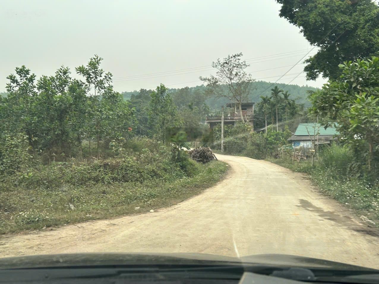 Săn hàng hiếm X2 đất mặt đường Hồ Chí Minh,ngay tt chợ và kiot bán hàng,sổ đỏ 2592,2m2 sẵn 1000m2tc