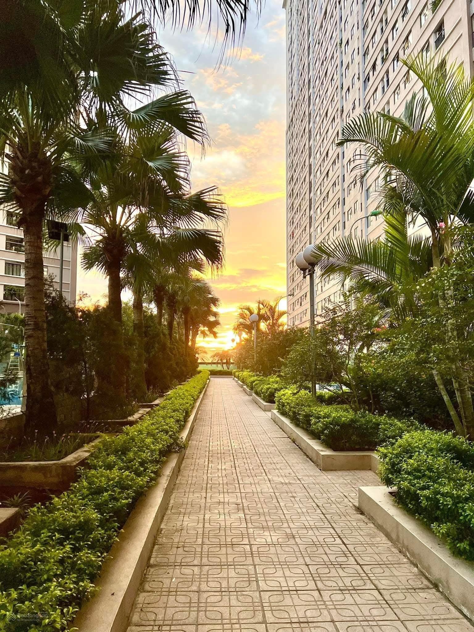 Cc cần bán căn 3 ngủ 2vs - tòa xuân mai dương nội - hđ - gần vành đai 4 - tàu điện trên cao.