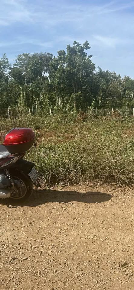 Bán đất huyện Cư M'gar, tỉnh Đắk Lắk giá 550 triệu