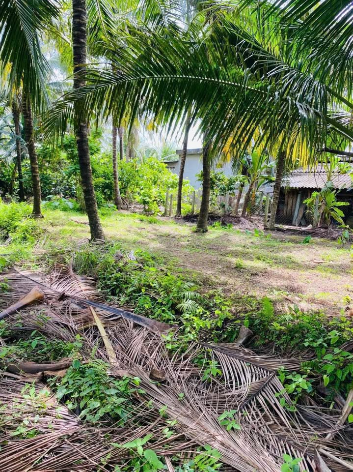 Bán đất huyện Châu Thành, tỉnh Bến Tre giá 600 triệu