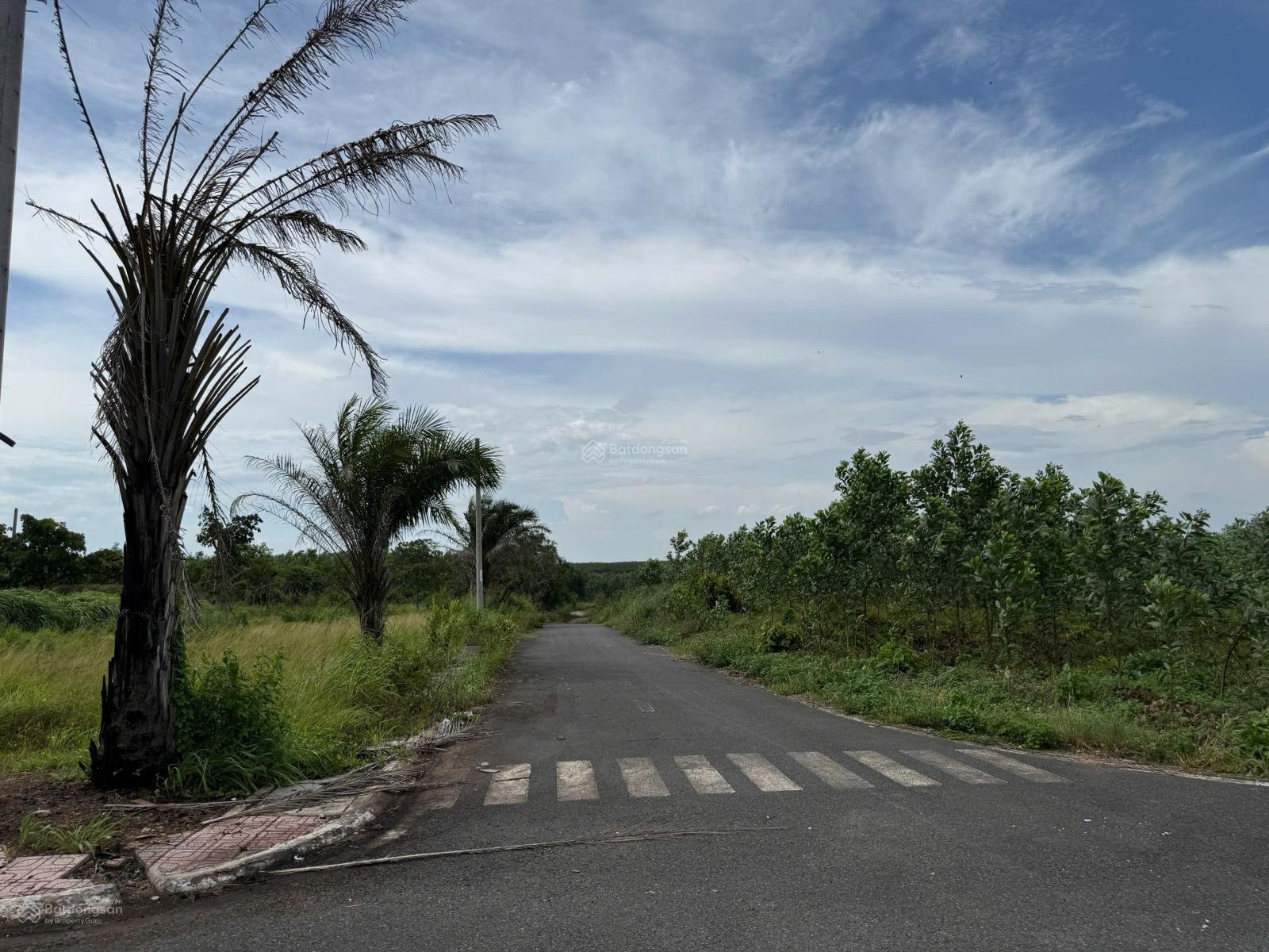 Cần ra gấp lô đất Long Thành giáp sân bay 125m2, giá 1,25 tỷ