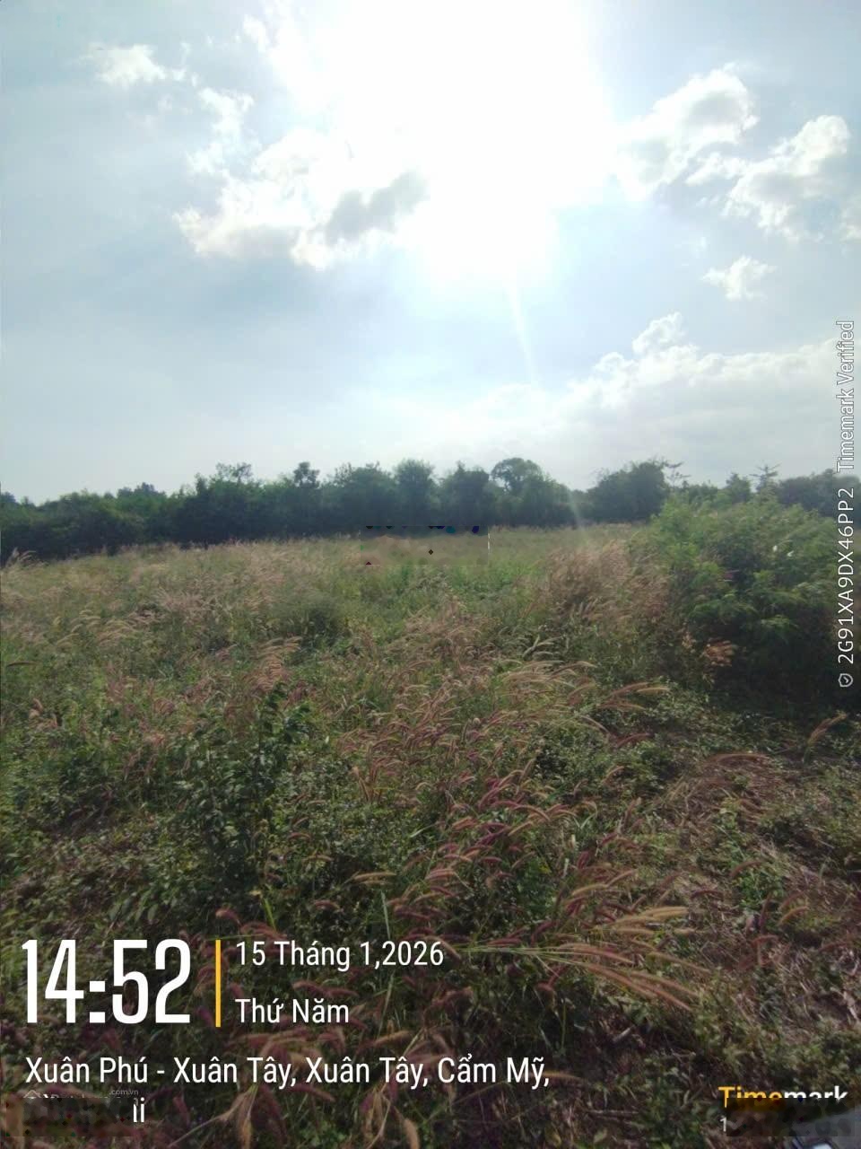 BĐS đang cần bán tại Cẩm Mỹ. Giá thương lượng