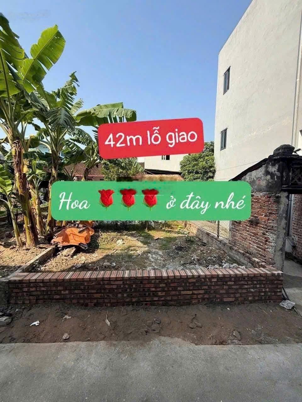 Bán 42m Lỗ Giao, Việt Hùng, Đông Anh ,20m ra trục chính