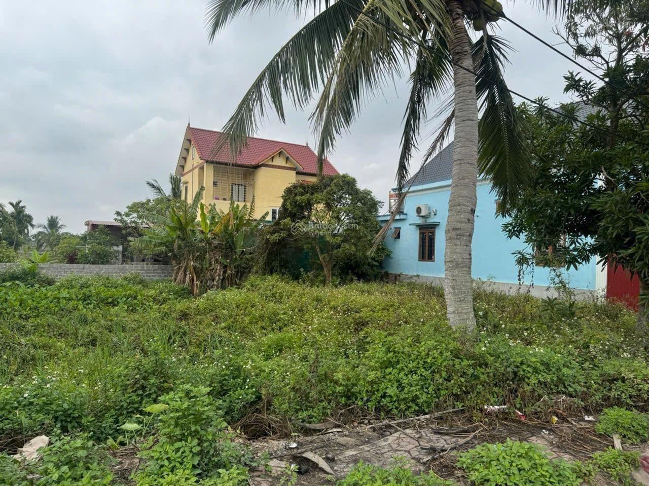 Lô đất đẹp lần đầu xuất hiện tại TDP Dân Tiến phường Nam Đồ Sơn diện tích: 65,5m2 ngang 4,25m