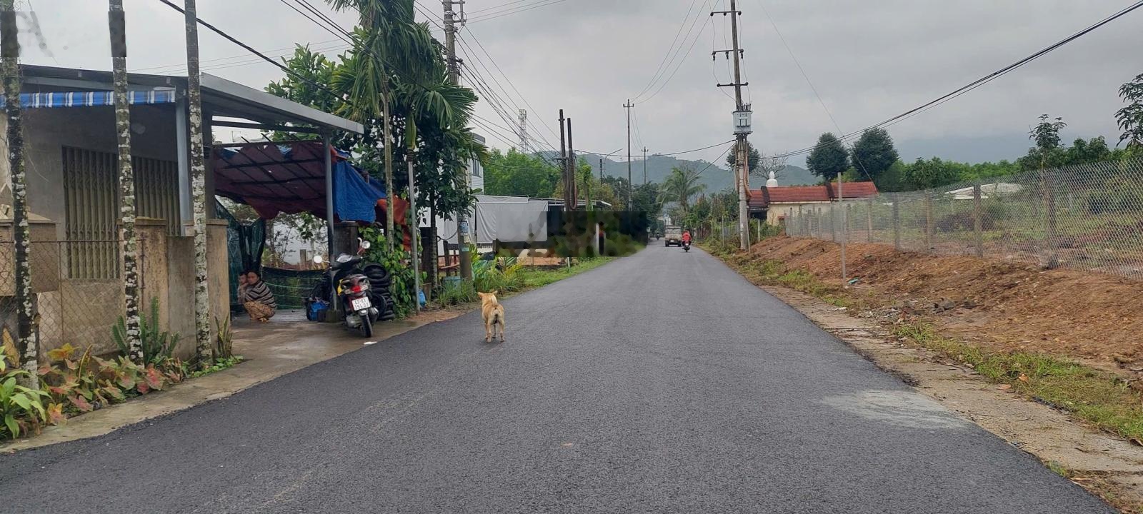 Đất xây nhà vườn view suối đường nhựa 2 ô tô, 610m2 có 400m2 đất ở