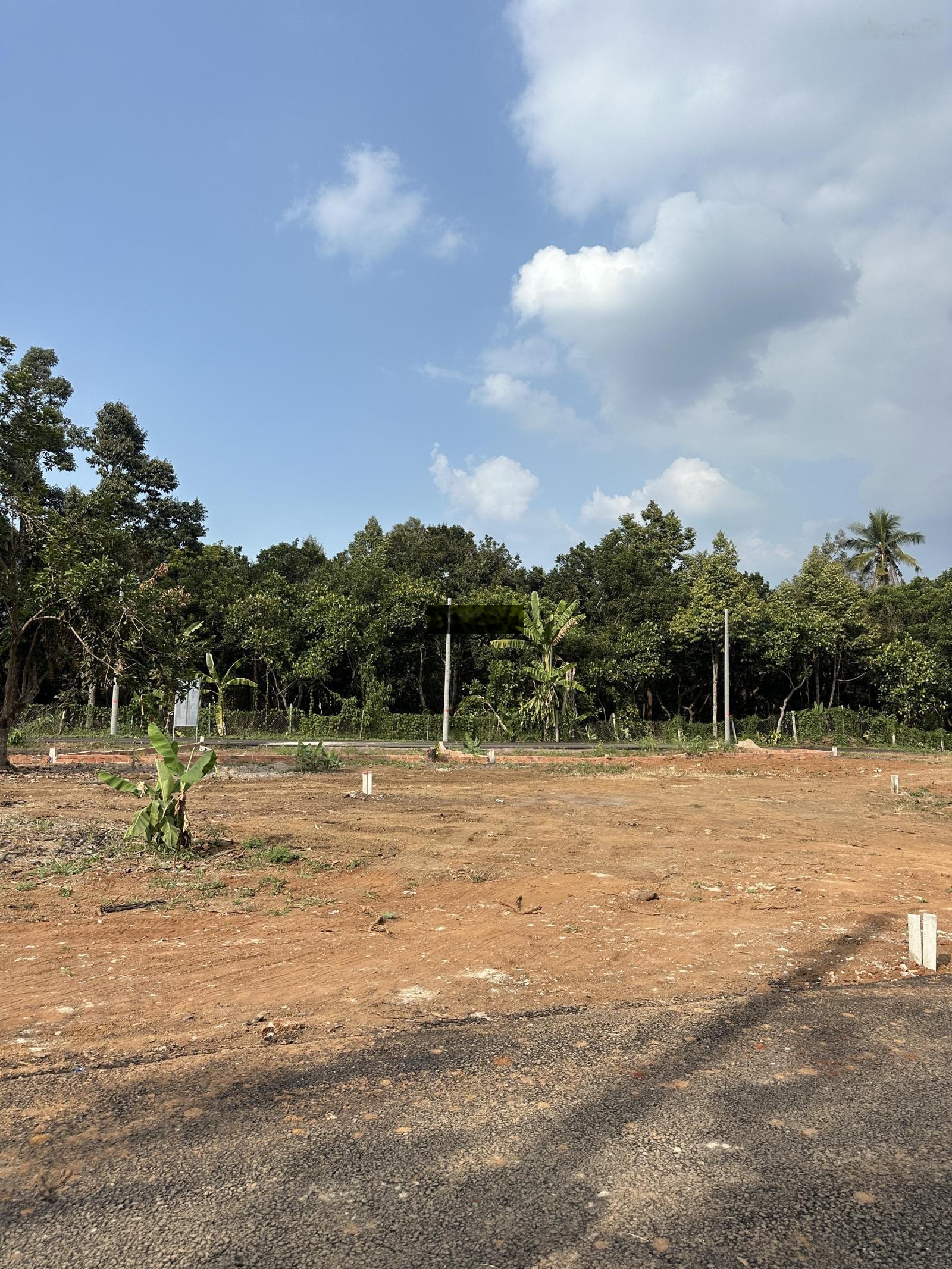 Em bán gấp sào mặt tiền nhựa. sào lên thổ cư liền được.