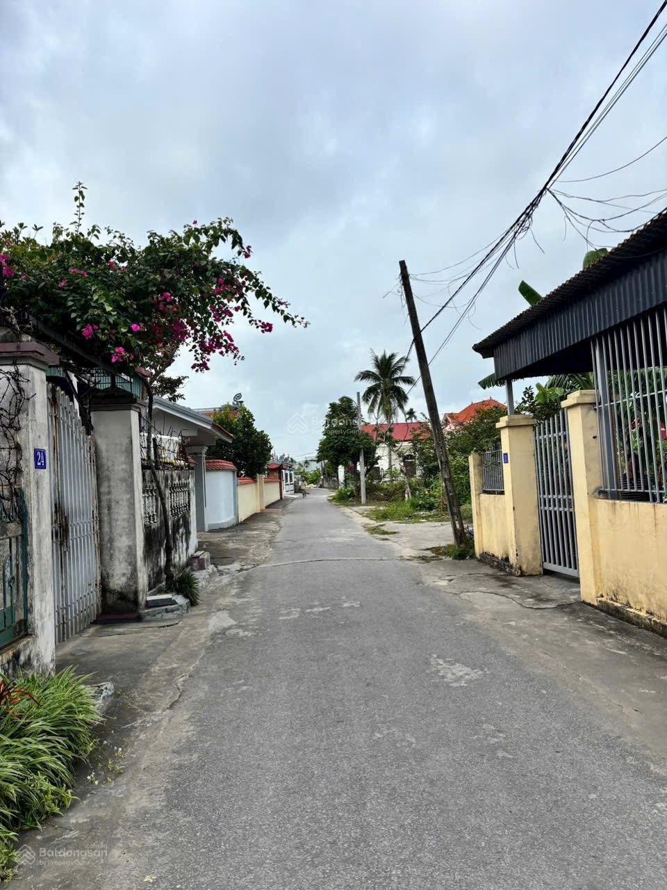 Hàng hiếm tại Hòa Nghĩa, Dương Kinh, Hải Phòng