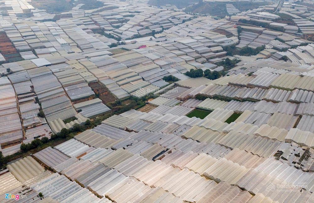 Chính chủ cho thuê đất nhà kính làm nghiên cứu