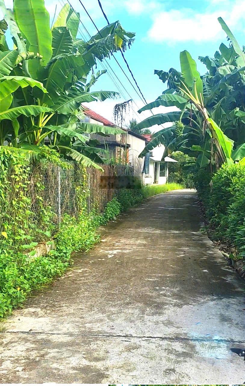 Bán lô đất thổ cư giá rẻ nhất khu Diên Toàn - cơ hội cho nhà đầu tư thực tế - SĐT 0931897111