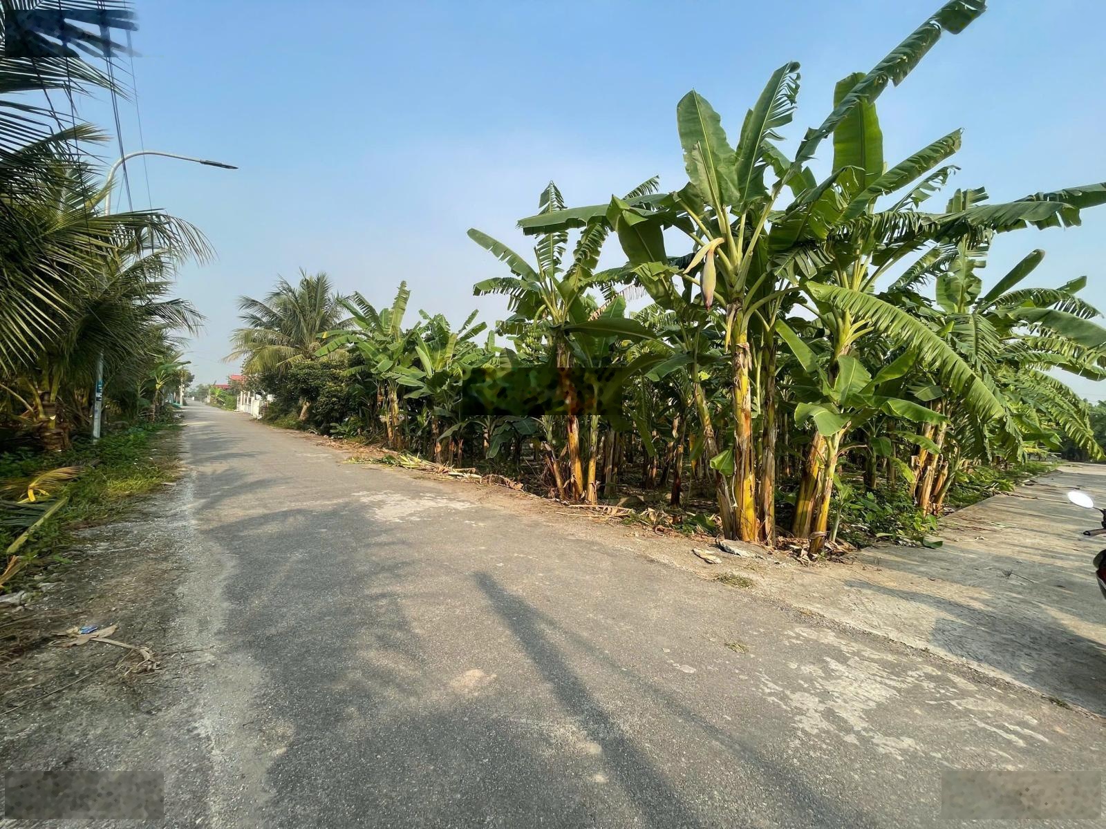 Bán đất thôn Đại Trang, xã Bát Trang, An Lão, Hải Phòng, 790 triệu, 70m2 đẹp, nhiều tiện ích hot