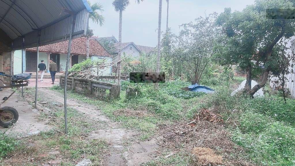 Bán Nhà riêng tại Bắc Sơn, Sóc Sơn, Hà Nội, giá siêu hời 5,6 tỷ, 748m2