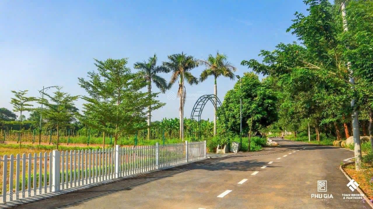 Đất phú cát giáp tổ hợp y tế kinh doanh tốt