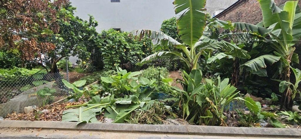 Bán đất hải bối đông anh dt 48m .gần dự án ven sông .tòa nhà thông minh đang thi công