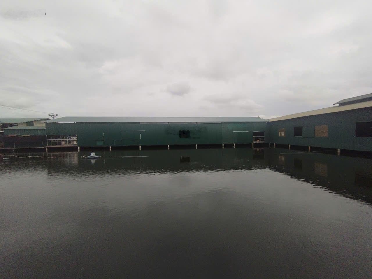 Cho thuê kho đường Nguyễn Khoái, Hoàng Mai. DT 680m2, 700m, 300m cao 6m điện 3fa, nước sạch. 55k/m2