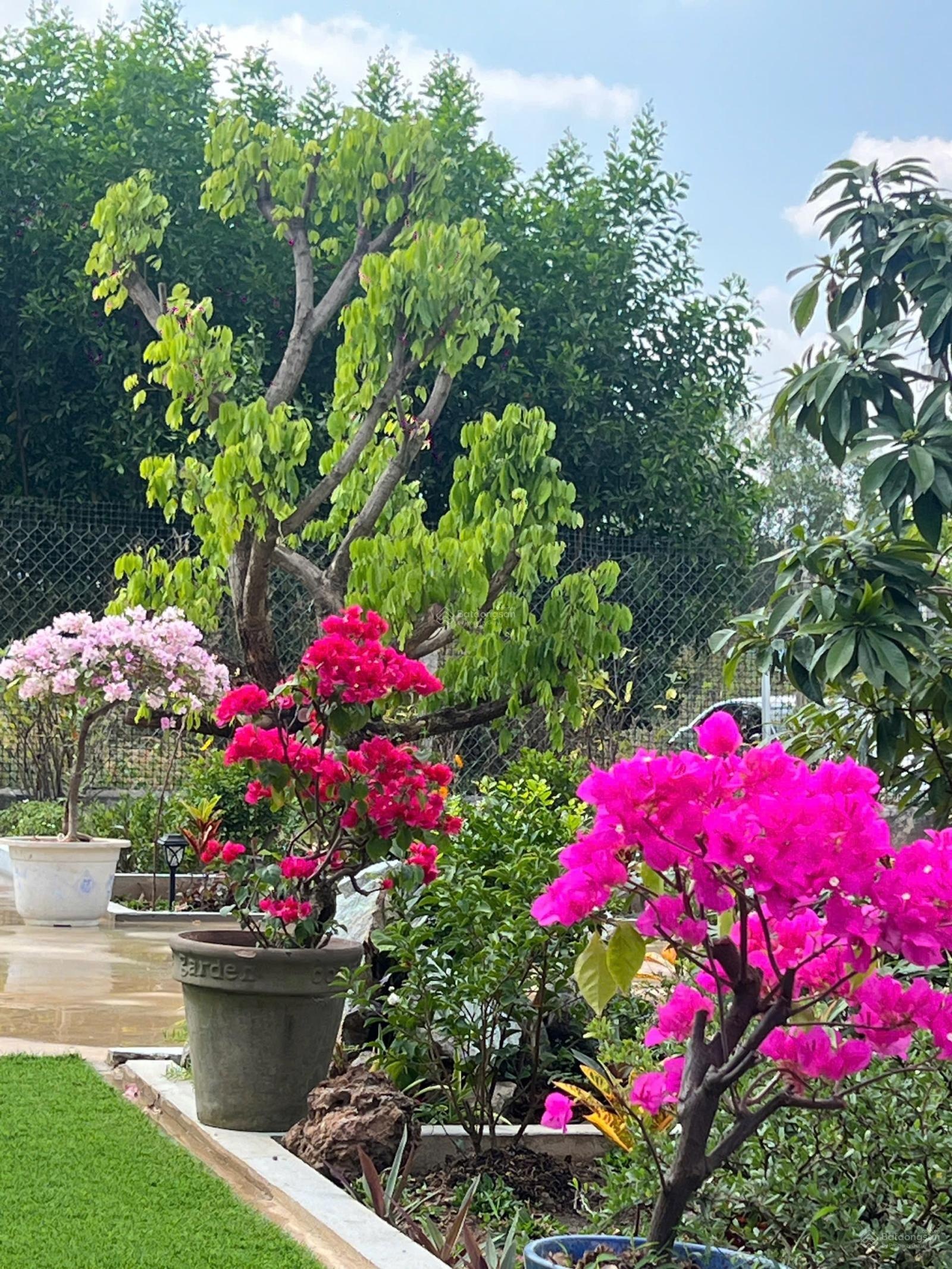 Giá đình kẹt tài chính cần bán rẻ lô đất DT lớn giá bán cắt lỗ thấp hơn giá thị trường