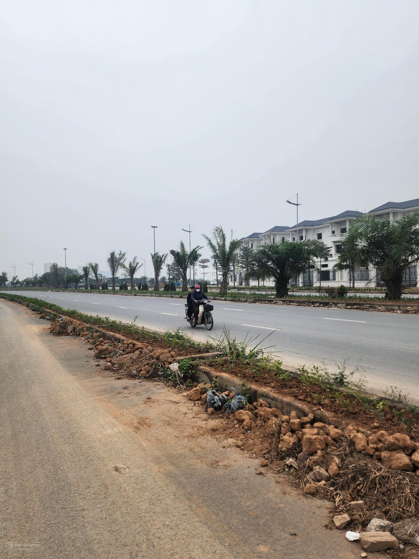 Đất Vành Đai 3.5, quỹ hàng tháng 2/2026, bán gấp mảnh 65m2, MT 5m. DT 55m2, 65m2, 80m2, 150m2