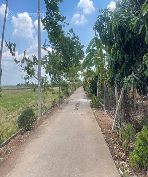 Bán đất tại ĐT 764, Cẩm Mỹ, Đồng Nai, giá siêu hời 390 triệu, 107.6m2. Đường bê tông 3,5m xe ô tô