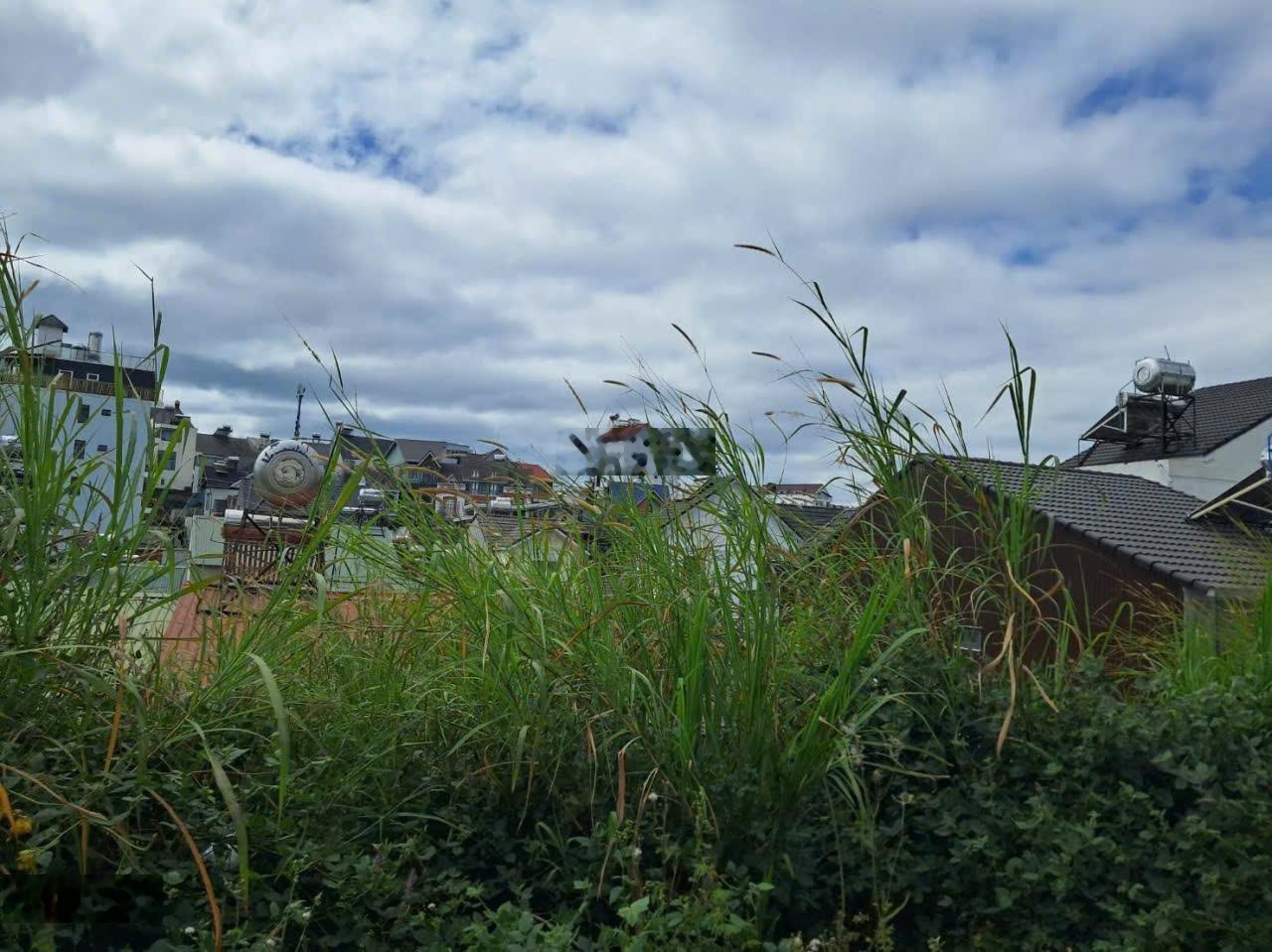 Đất biệt thự đường Lữ Gia, Phường 9, TP. Đà Lạt, view đẹp, diện tích: 373m2, giá 10tỷ