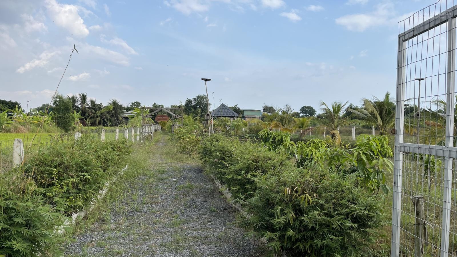 Bán đất nghỉ dưỡng 1346m2 tại Bình Chánh đường xe tải có cây ăn trái và ao cá