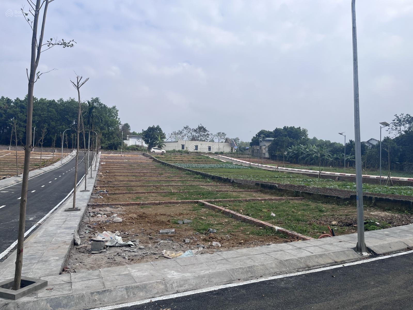 Bán Đất Nền tại Ba Hàng Đồi, 600 triệu, giá tốt