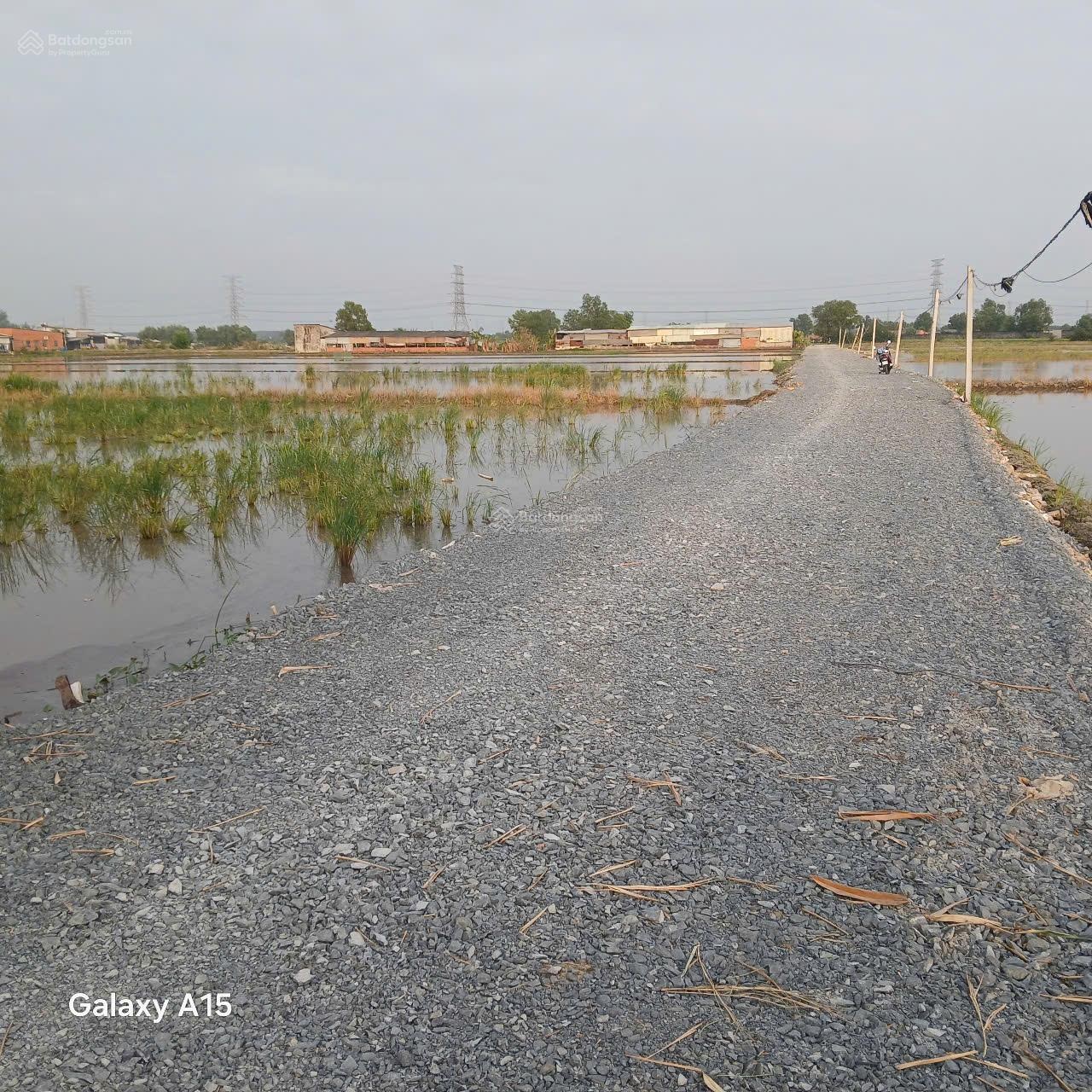 Cho thuê đất trồng cây lâu năm hẻm 5m (XT) Nguyễn Thị Lắng, X. Tân Phú Trung, H. CC giá 30tr