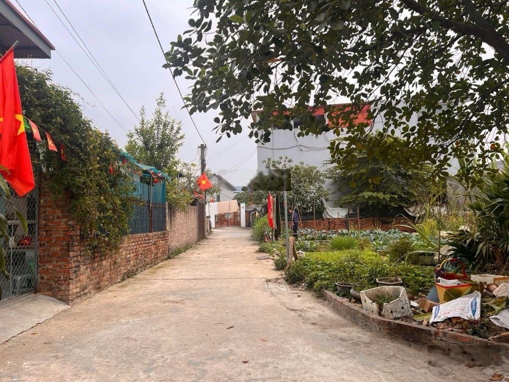 Bán Đất tại Xã Hiền Ninh, Sóc Sơn, Hà Nội giá cực chất 2,19 tỷ, 58m2