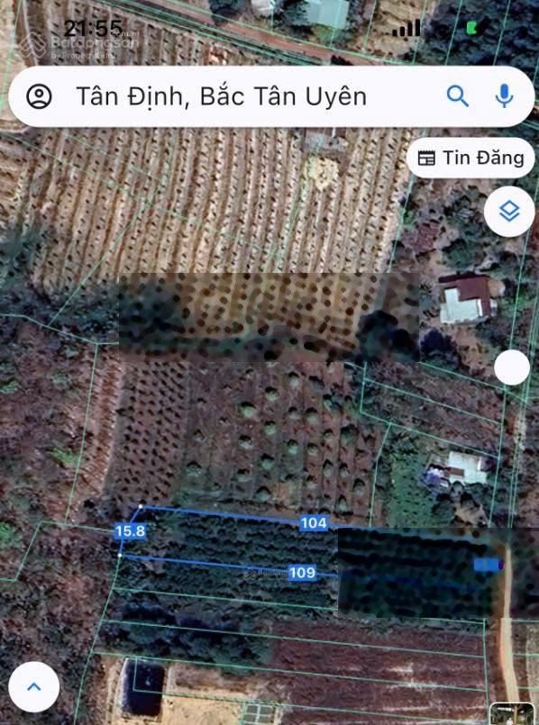 Bán đất tại đường Tân Định 56, xã Tân Định, Bắc Tân Uyên, Bình Dương, 12 tỷ, 6025 m2