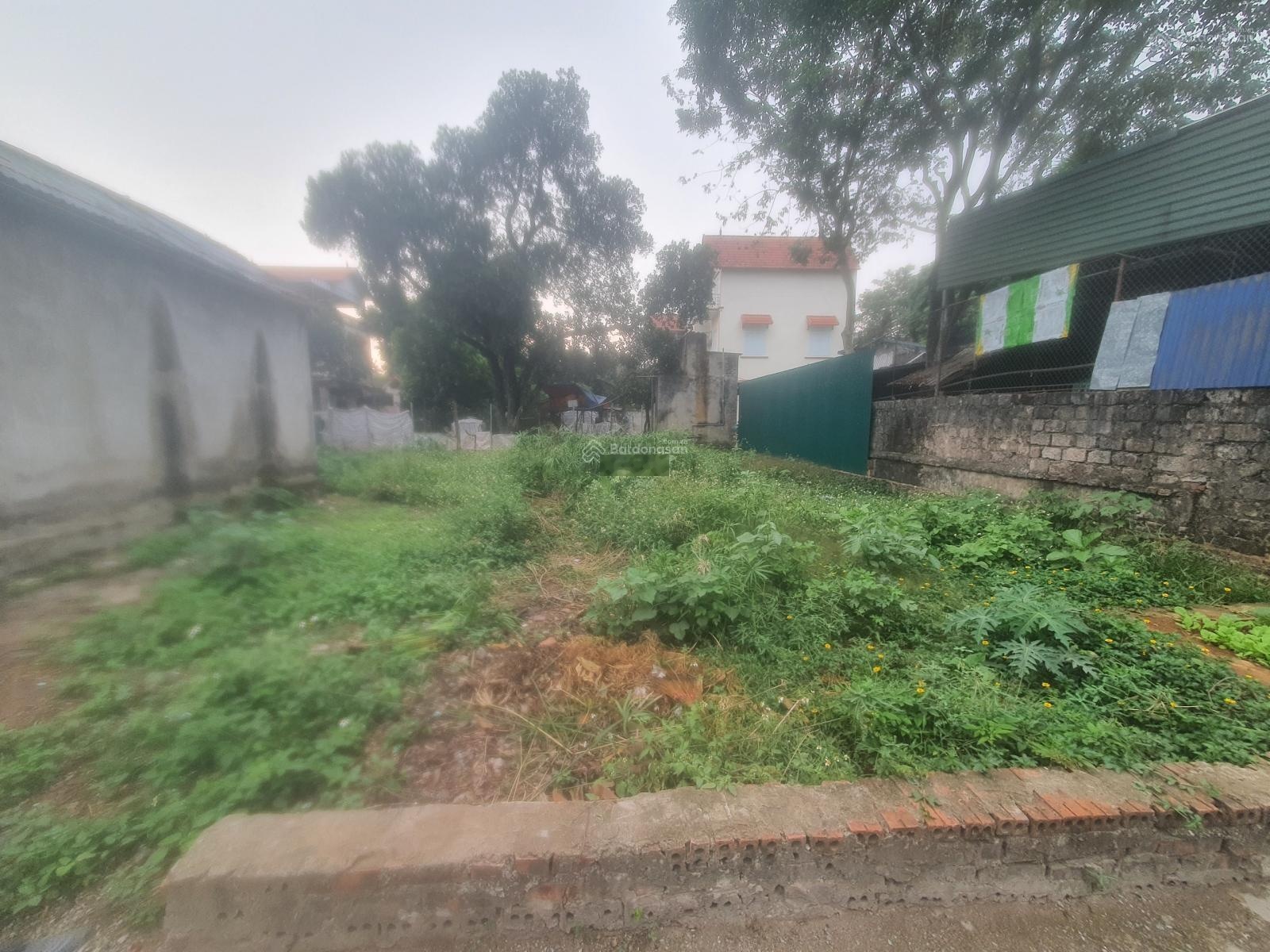 Chính chủ bán đất xã bình minh - hưng yên, 51 m2, giá chỉ 2.15 tỷ, lh 0985865658