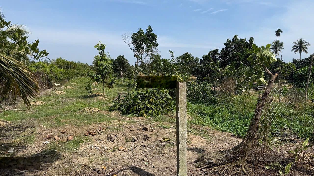 bán gấp 5052m mt QL54 Đoạn Đông Thành, Bình Minh giá 2,5tr/m2,cách chợ Mỹ Hoà 2km lh 0906949069