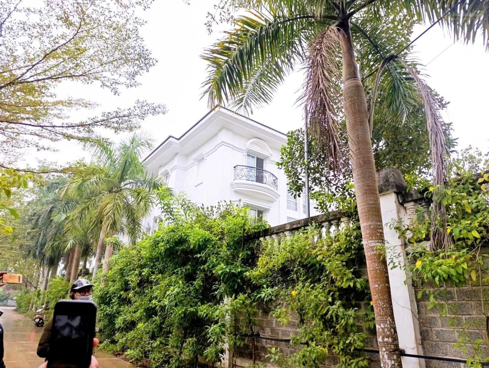 Lô đất Vip cạnh Khu CNC Hoà Lạc tại Đồng Trạng Cổ Đông Sơn Tây, view Hồ Tân Xã, đường 3 ô tô tránh!