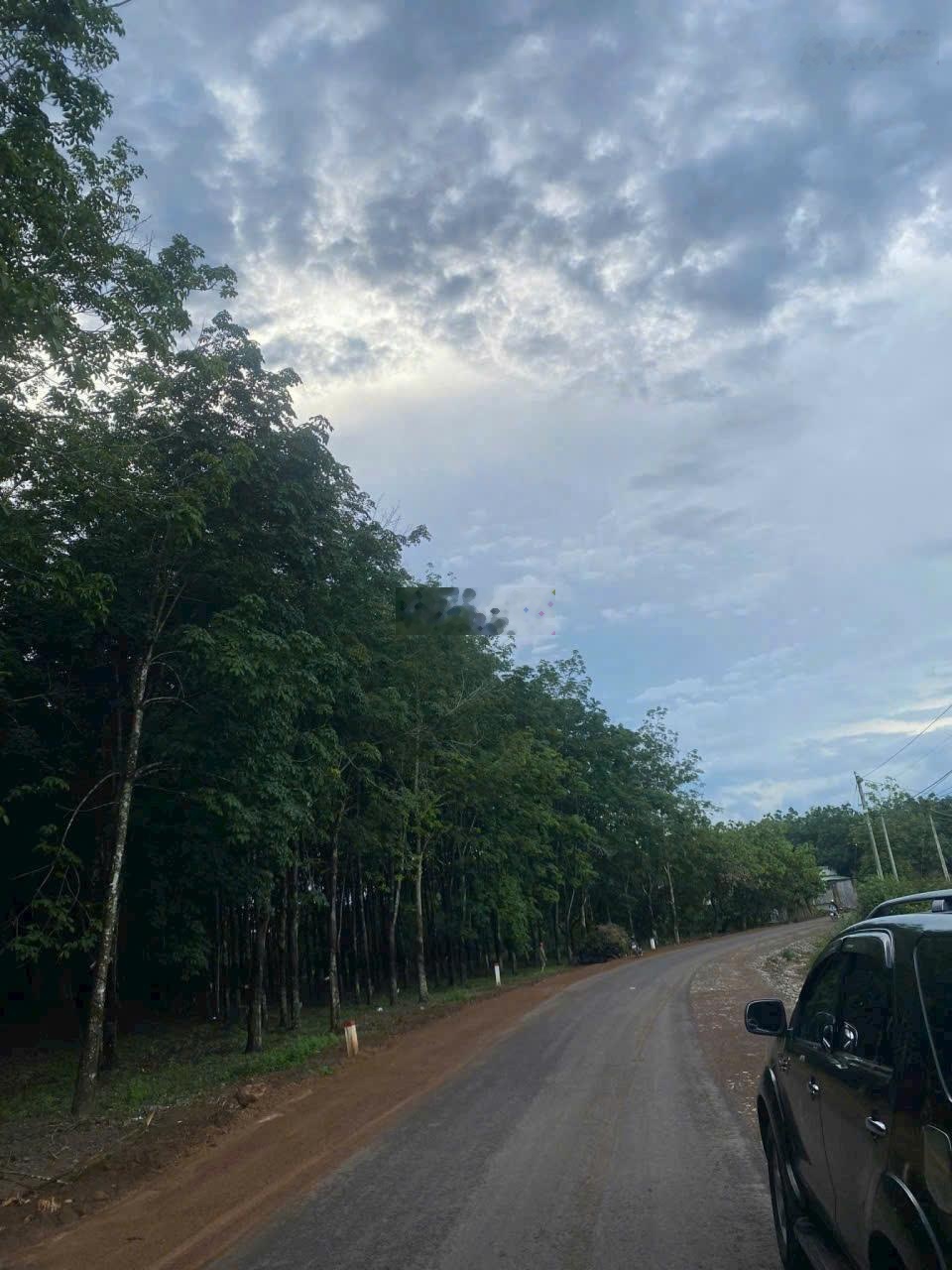 Công ty Đấu giá Hợp danh Trực tuyến Việt Nam (VNOA) thông báo đấu giá tài sản