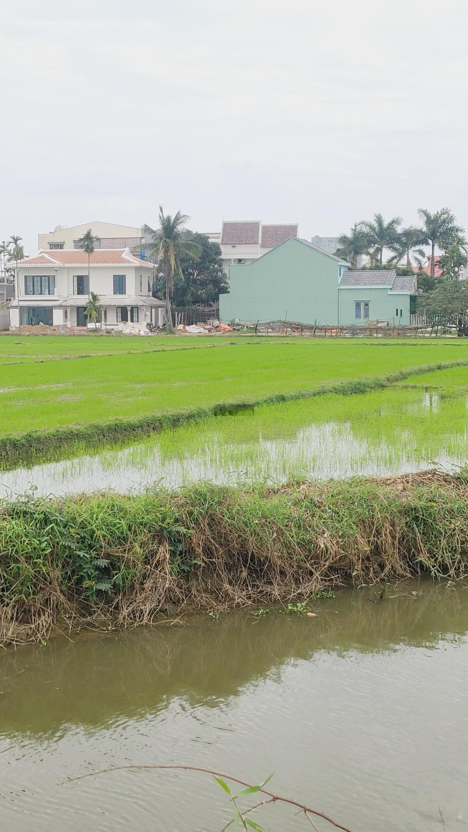 Những villa cẩm châu cam thanh hội an siu đẹp dòng tiền tây thuê