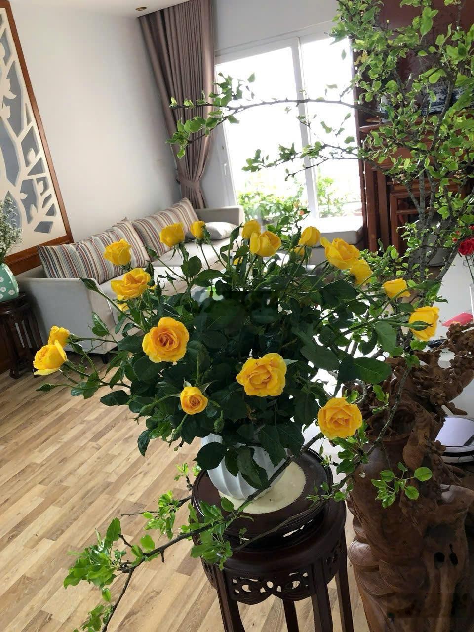 Bán căn hộ chung cư Golden Palace, 85 triệu/ m2, 117.6 m2 3 ngủ, hàng hiếm tại view đẹp