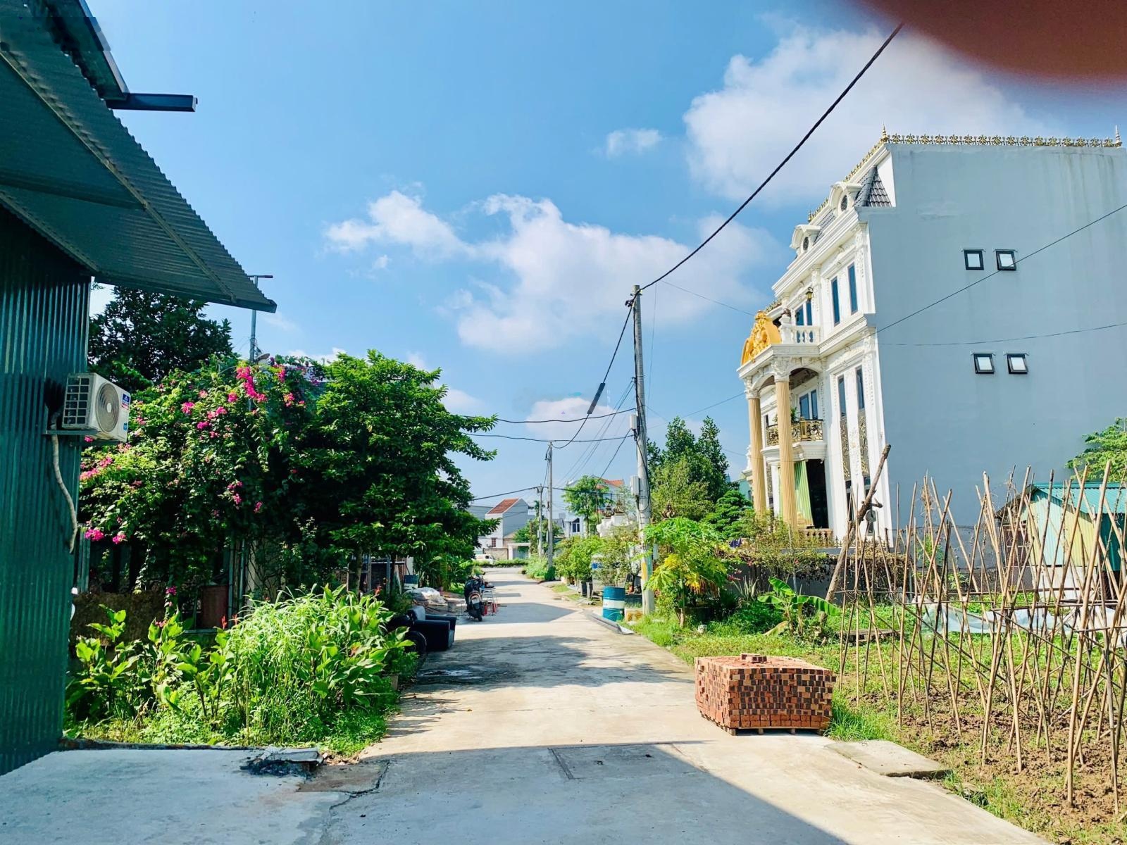 [ họp chợ] bán đất dịch vụ lại yên - đất phân lô - ô tô phi vèo vèo - 50m2 - chỉ nhỉnh 6 t