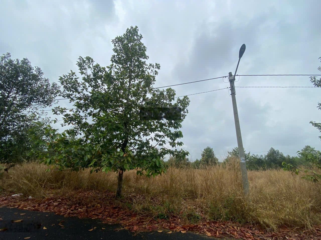 Bán đất Phường Tiến Thành, Thị Xã Đồng Xoài, Bình Phước