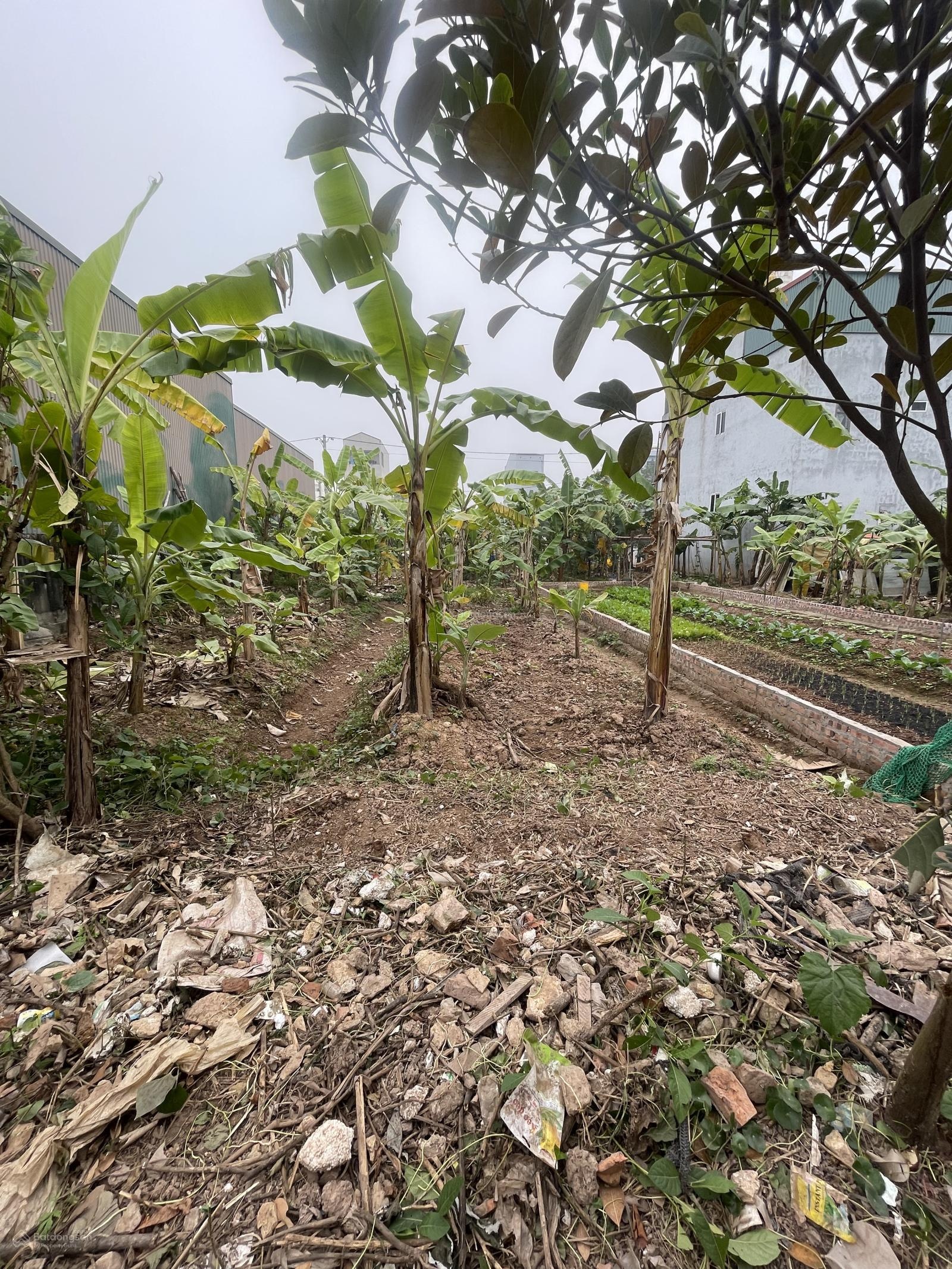 [ phải nhanh mới kịp] bán đất dịch vụ lại yên - đất phân lô - ô tô tránh- 47 m2 - 6t