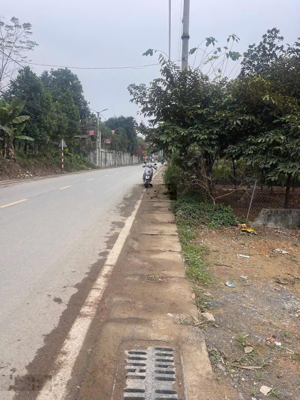 Bán 200m2 đất mặt đường xe bus tại Cẩm Lĩnh, Ba Vì, Hà Nội