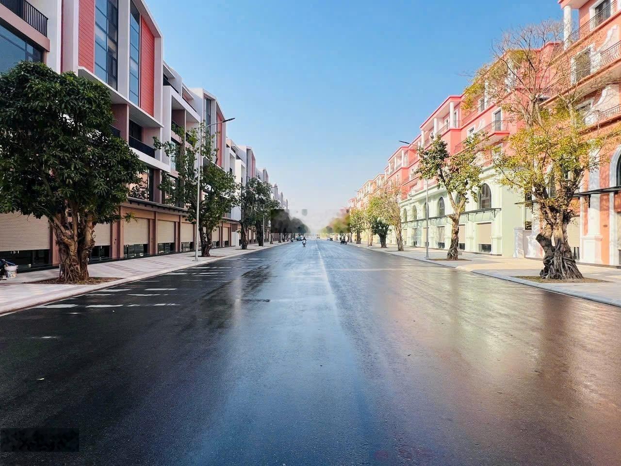 CHỦ NHÀ CẮT LỖ SÂU 1,7tỷ shophouse đường đại lộ, chỉ cần 3 tỷ vào vốn cũ. giá shock 13tỷ 0976861331