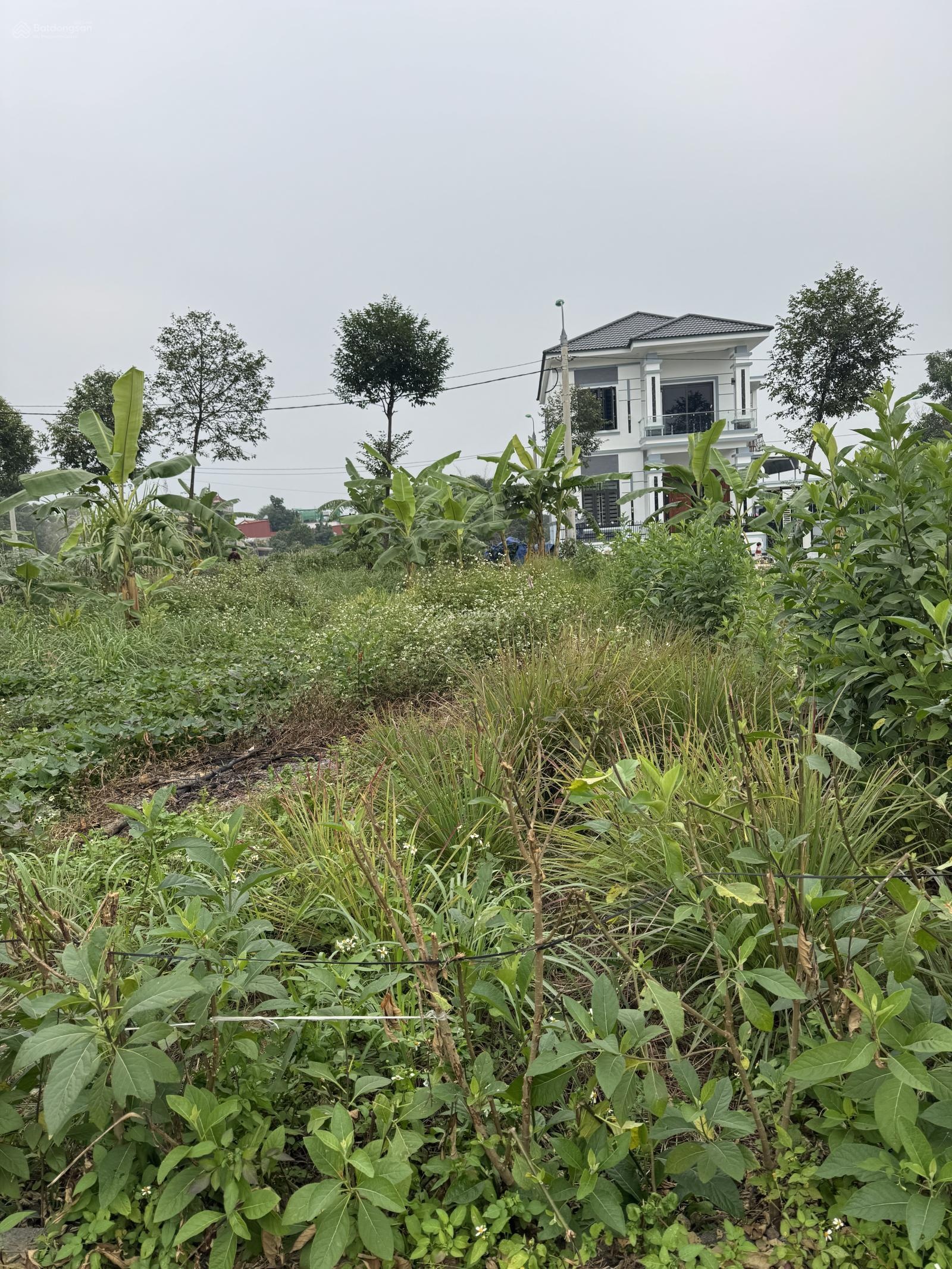 Sót đúng một lô rẻ nhất hoà lạc ạ