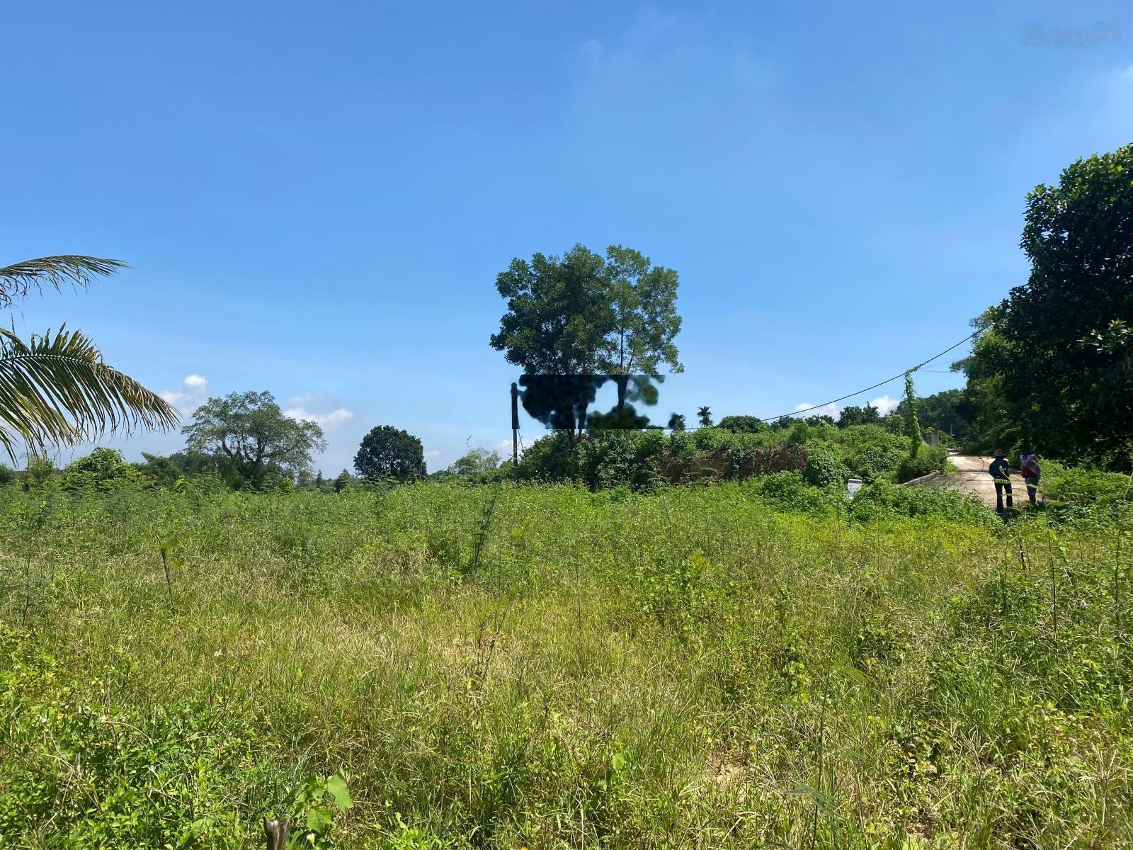 Chuyển nhượng 1.4ha (14000m2) đất bám hồ tự nhiên view đẹp xuất sắc tại Ba Vì - Hà Nội