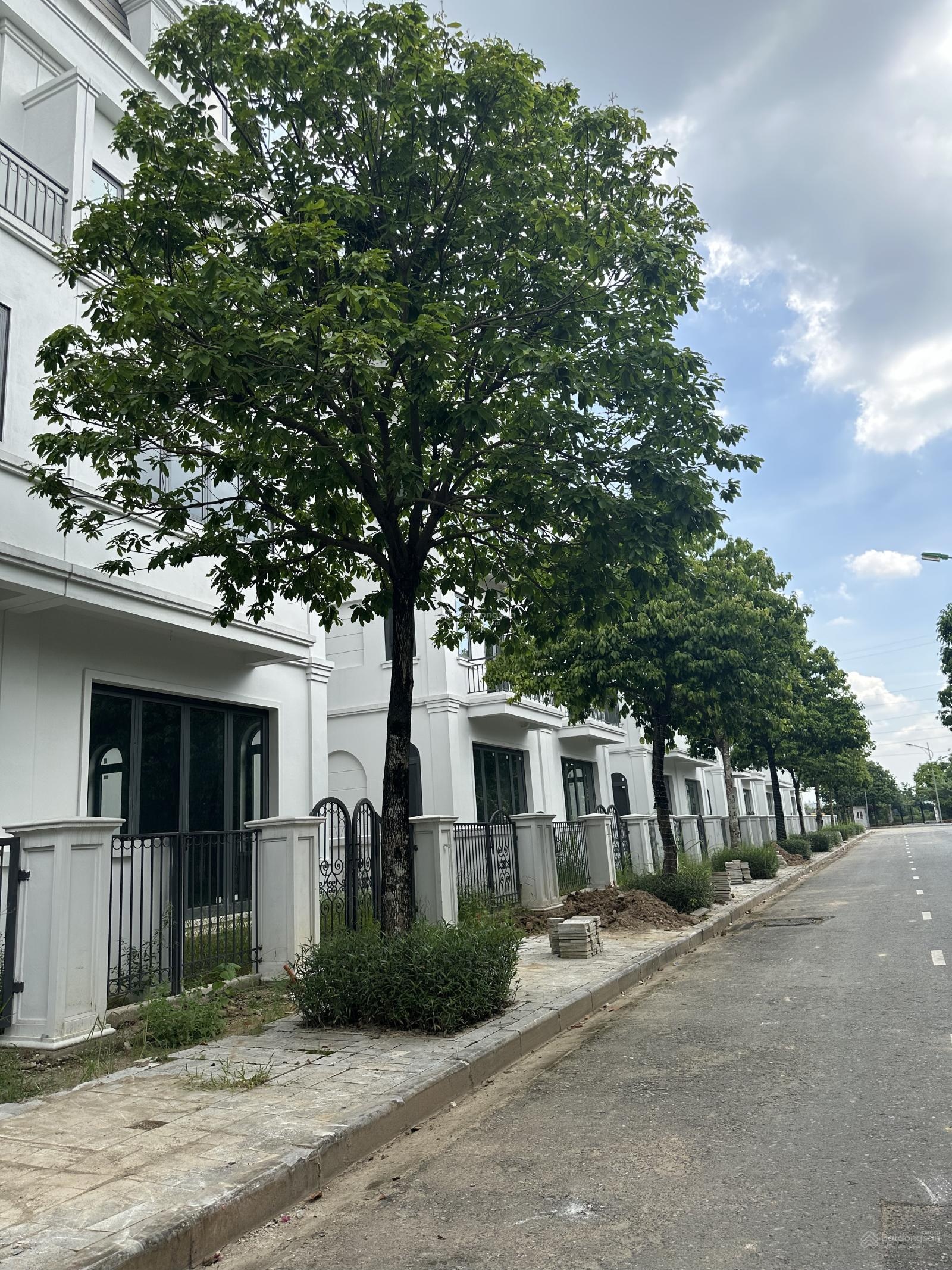 Bán nhanh căn BT Solasta - Khu B, giá nhỉnh 25 tỷ - đóng tiến độ chủ đầu tư, duy nhất 01 căn